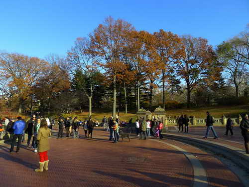 NYC_2012-11-22 14-32-15_P1070553